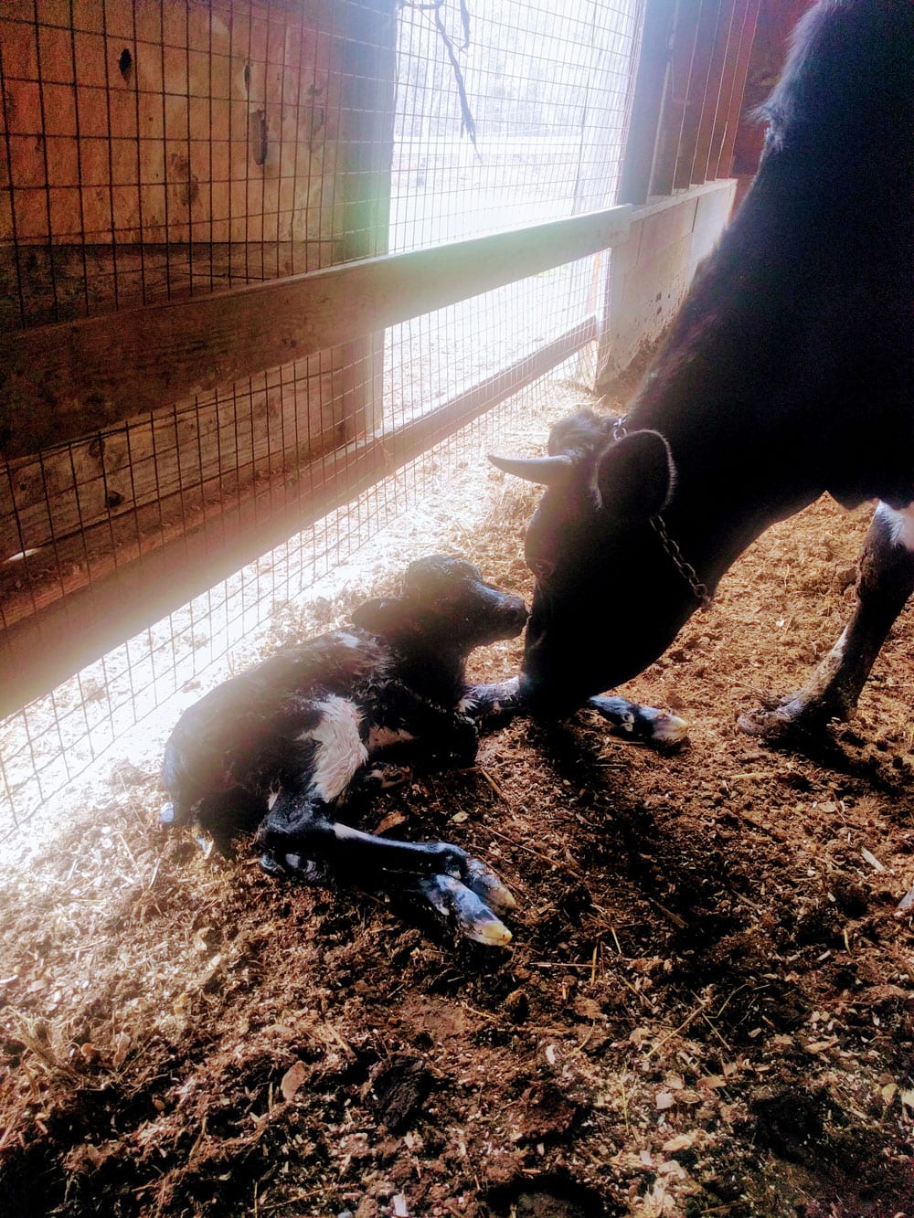 Farm3