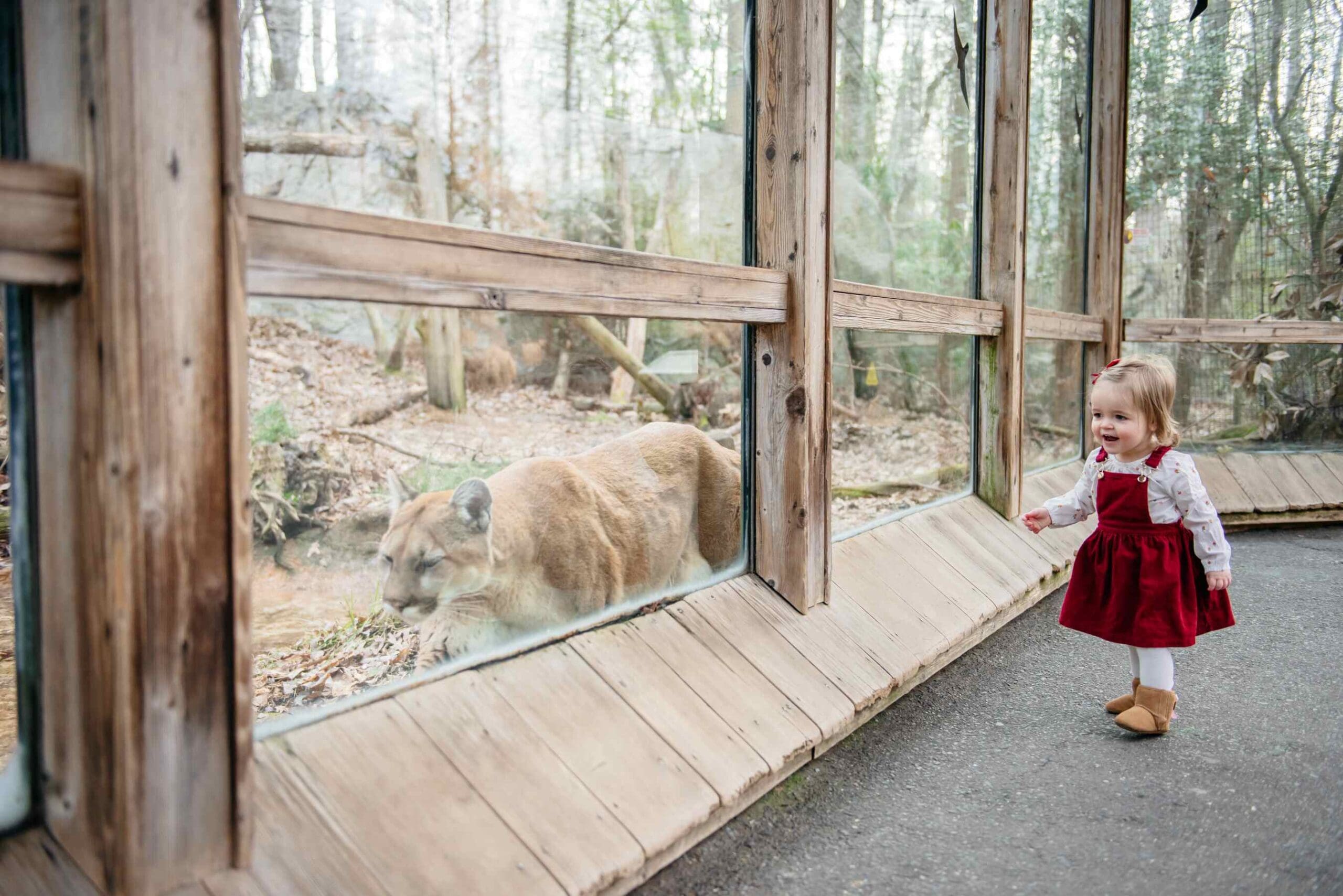 zoo asheboro