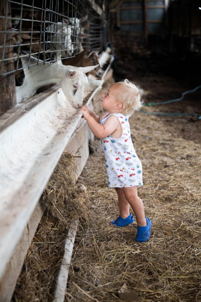 Lindale Farms' little Silas Lindley