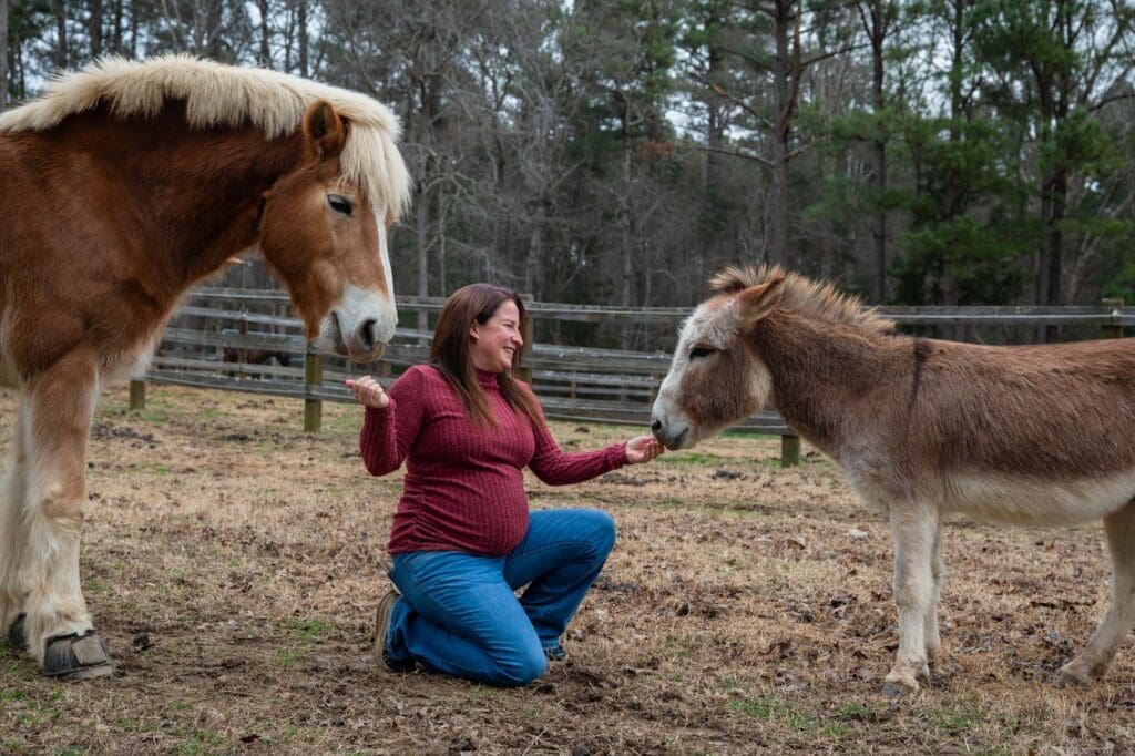 Stephanie Freese feeds a horse and a donkey