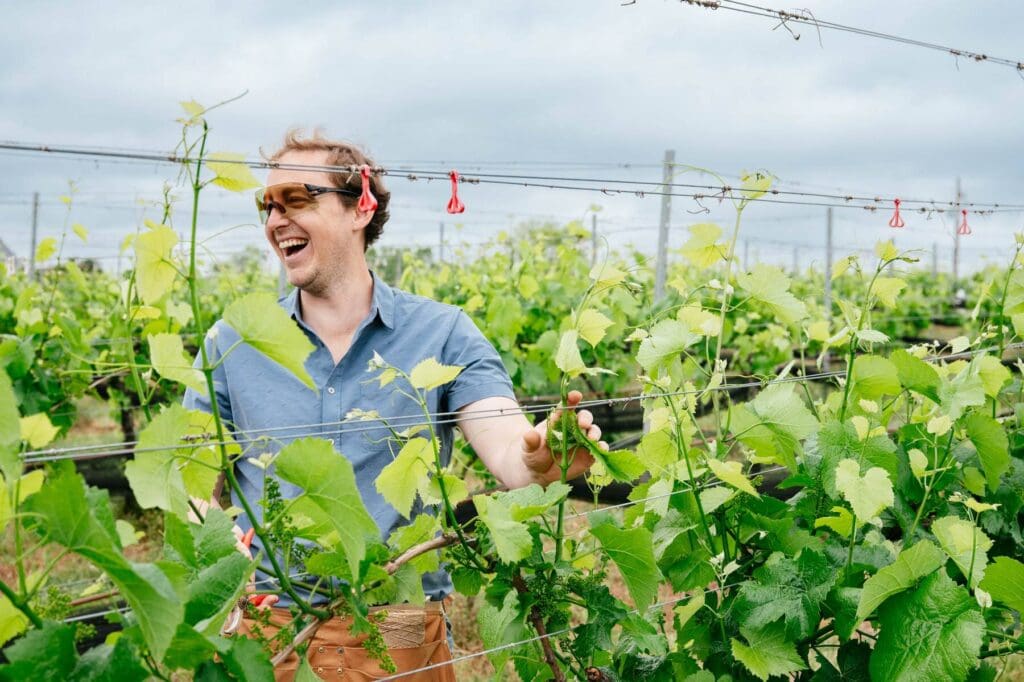 A man with sunglasses on stands behind a row of grape vines and laughs.