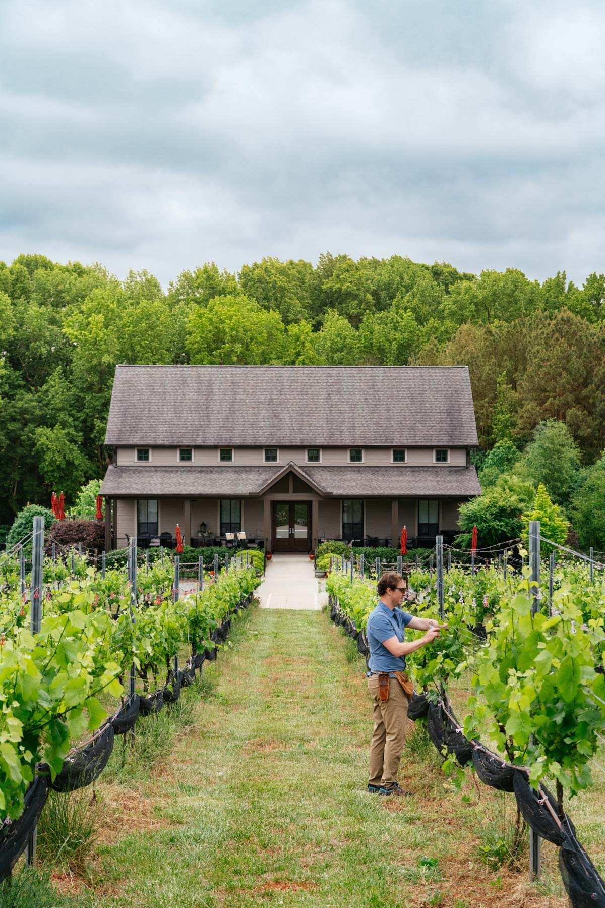 Erik Mitran working in the vineyard with the tasting room in the background. 