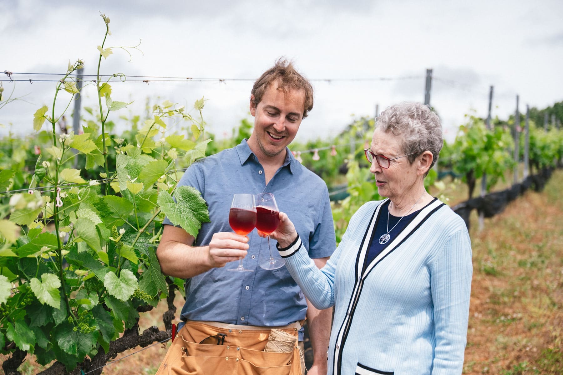 Erik Mitran and Sue Mitran clink two classes of red wine together in their vineyard. 