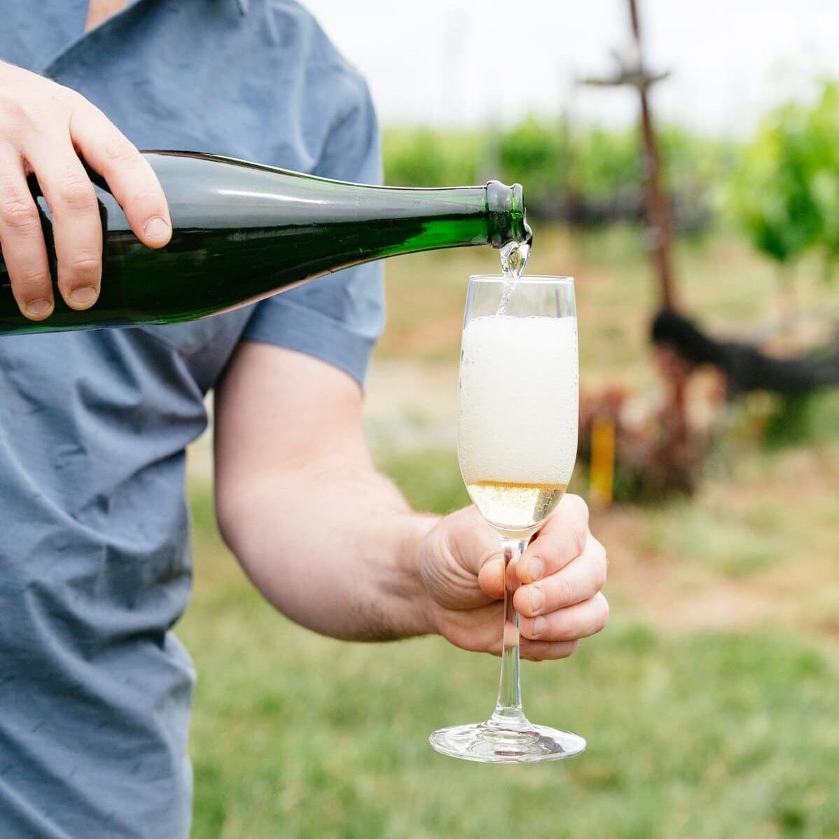 A man pours sparkling cider into a flute. 