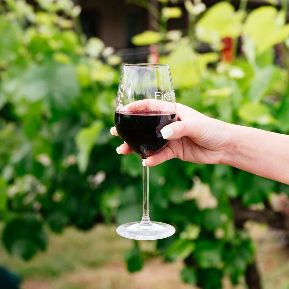 A hand holds a FireClay Cellars glass half full of red wine in front of grape vines. 
