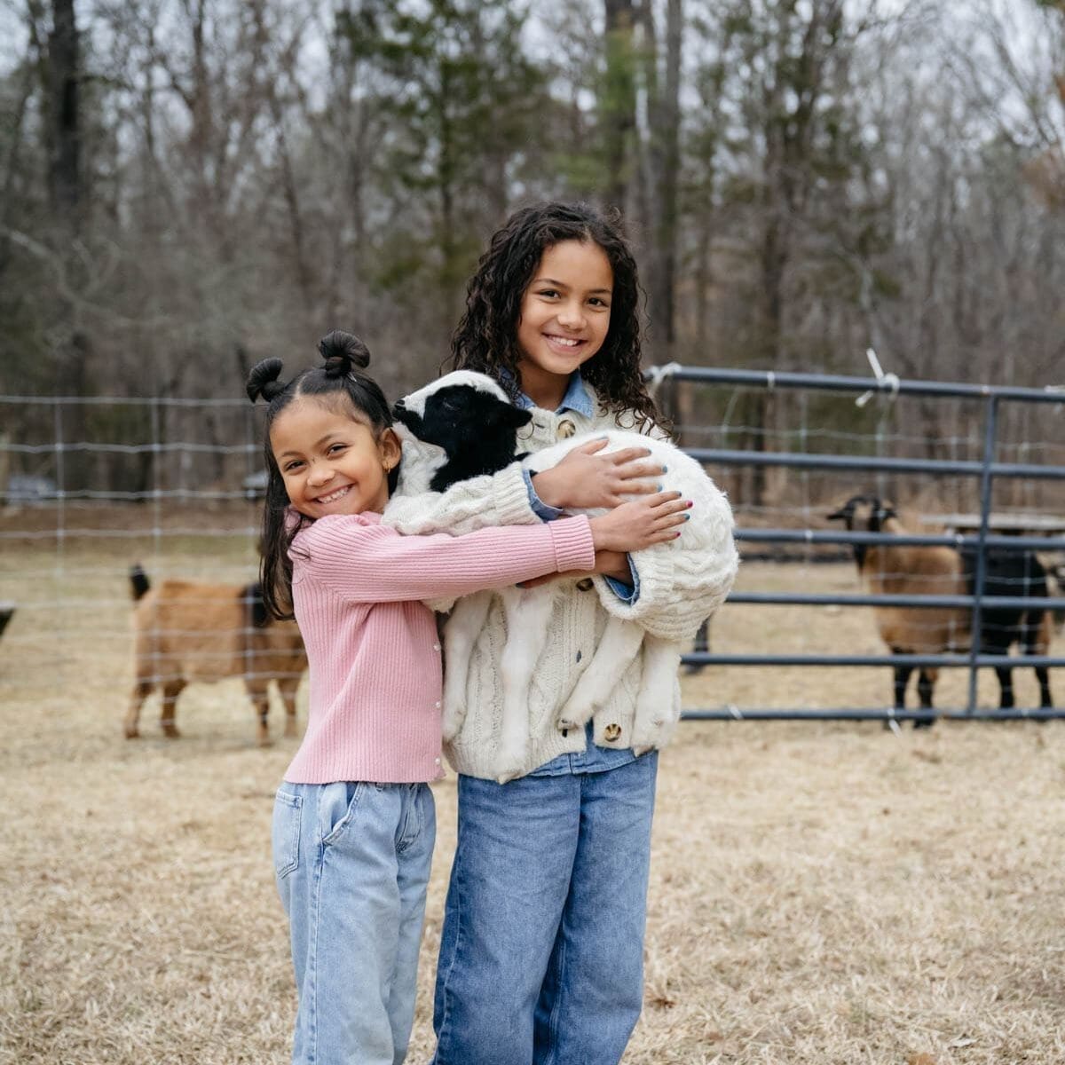 Two young sisters hold a black and white baby sheep at Old Mill Farm while smiling at the camera.